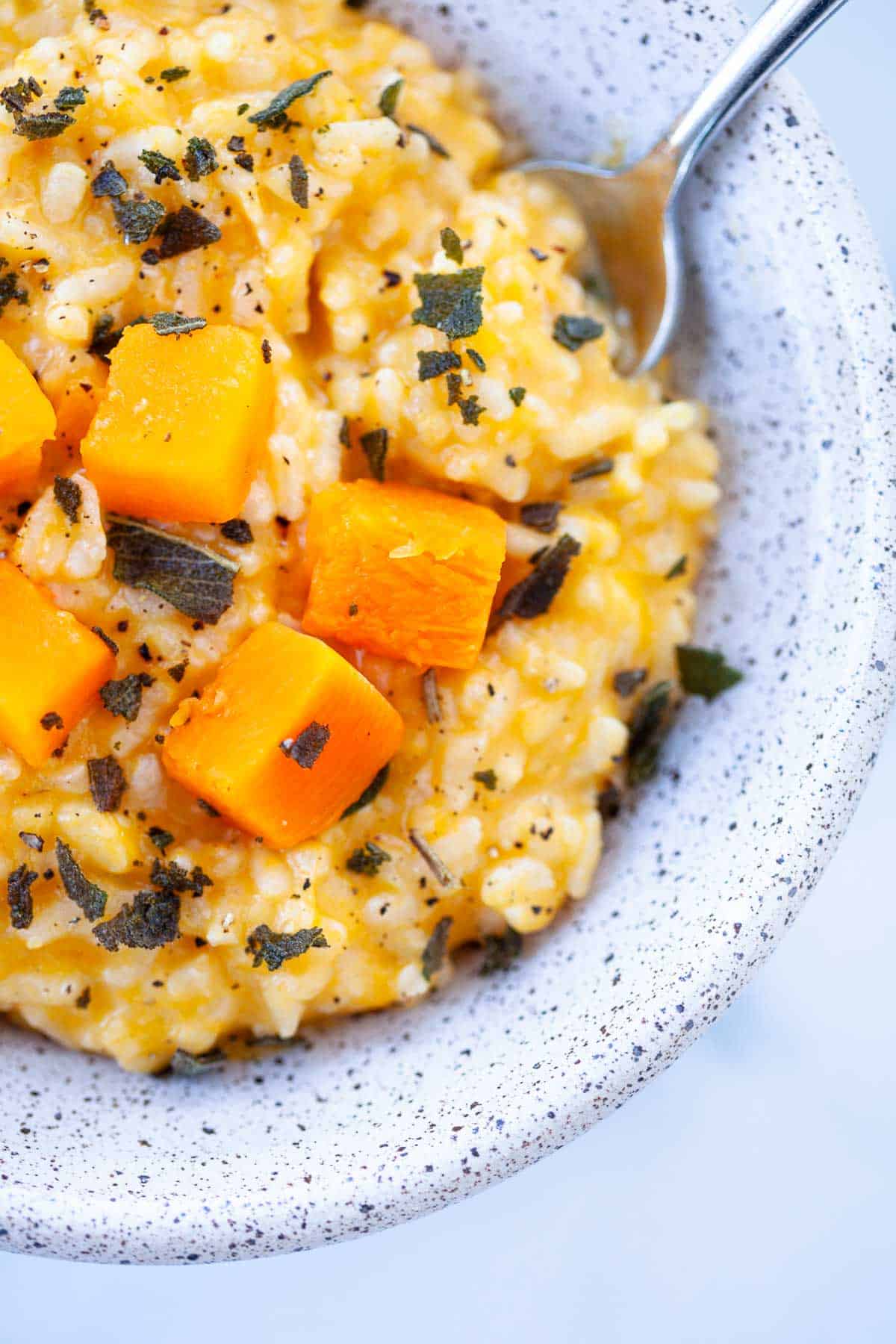 butternut squash risotto in a grey speckled bowl with fried sage and butternut squash cubes on top